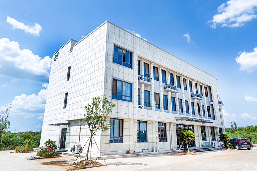 Skutočný obraz spoločnosti